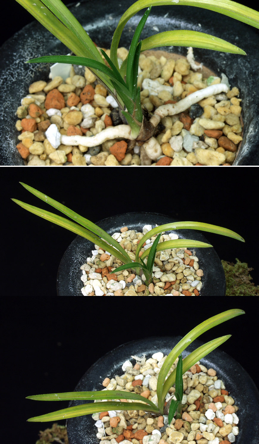 ������ ū������ �� �� �ֽ��ϴ�.