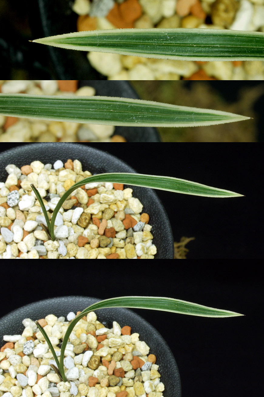 ������ ū������ �� �� �ֽ��ϴ�.