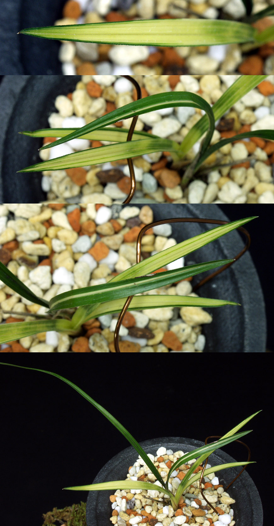 ������ ū������ �� �� �ֽ��ϴ�.