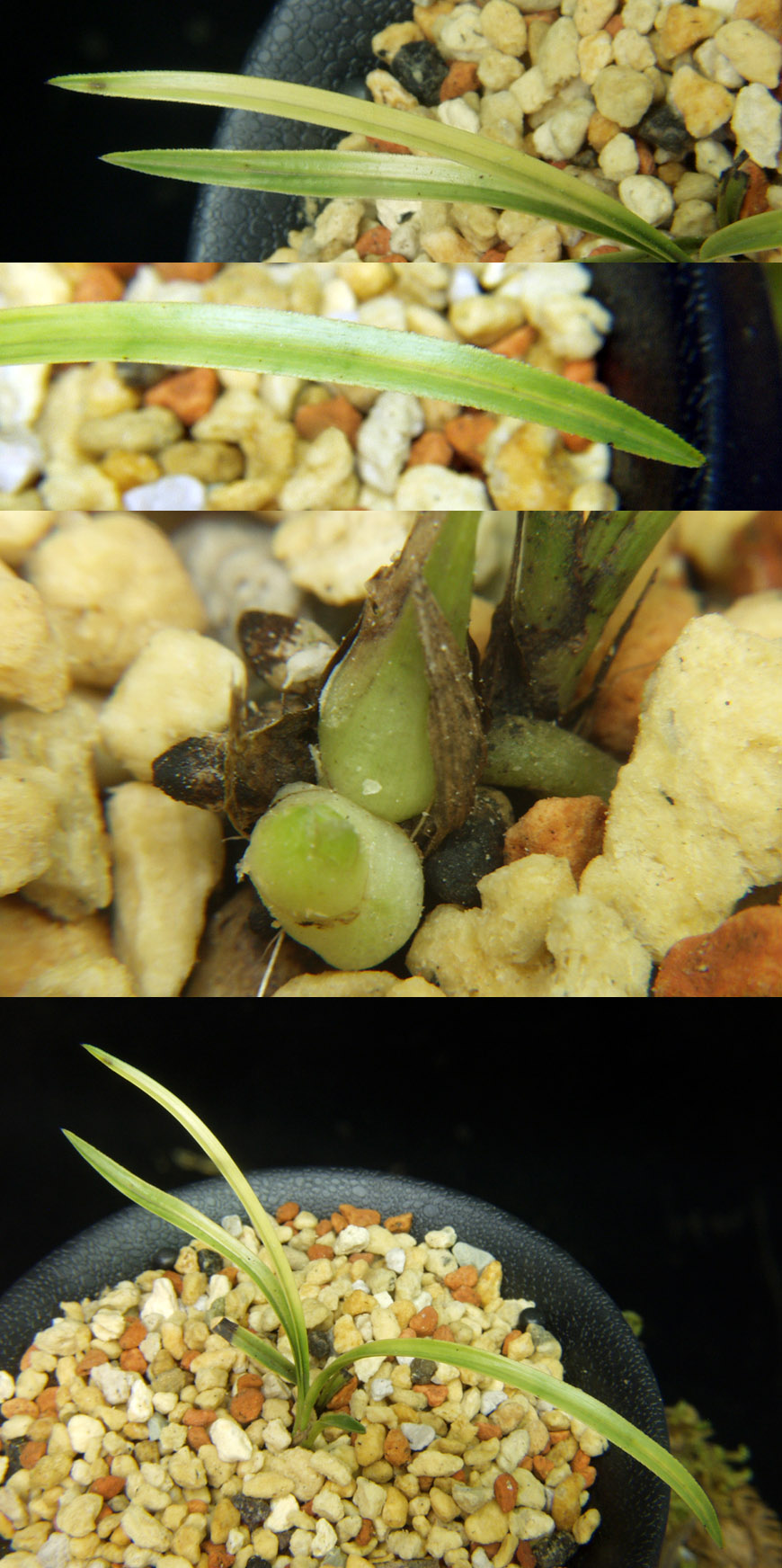 ������ ū������ �� �� �ֽ��ϴ�.