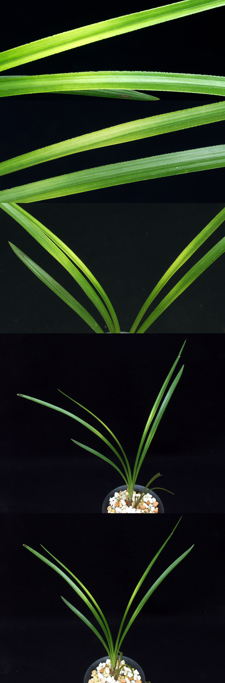 ������ ū������ �� �� �ֽ��ϴ�.