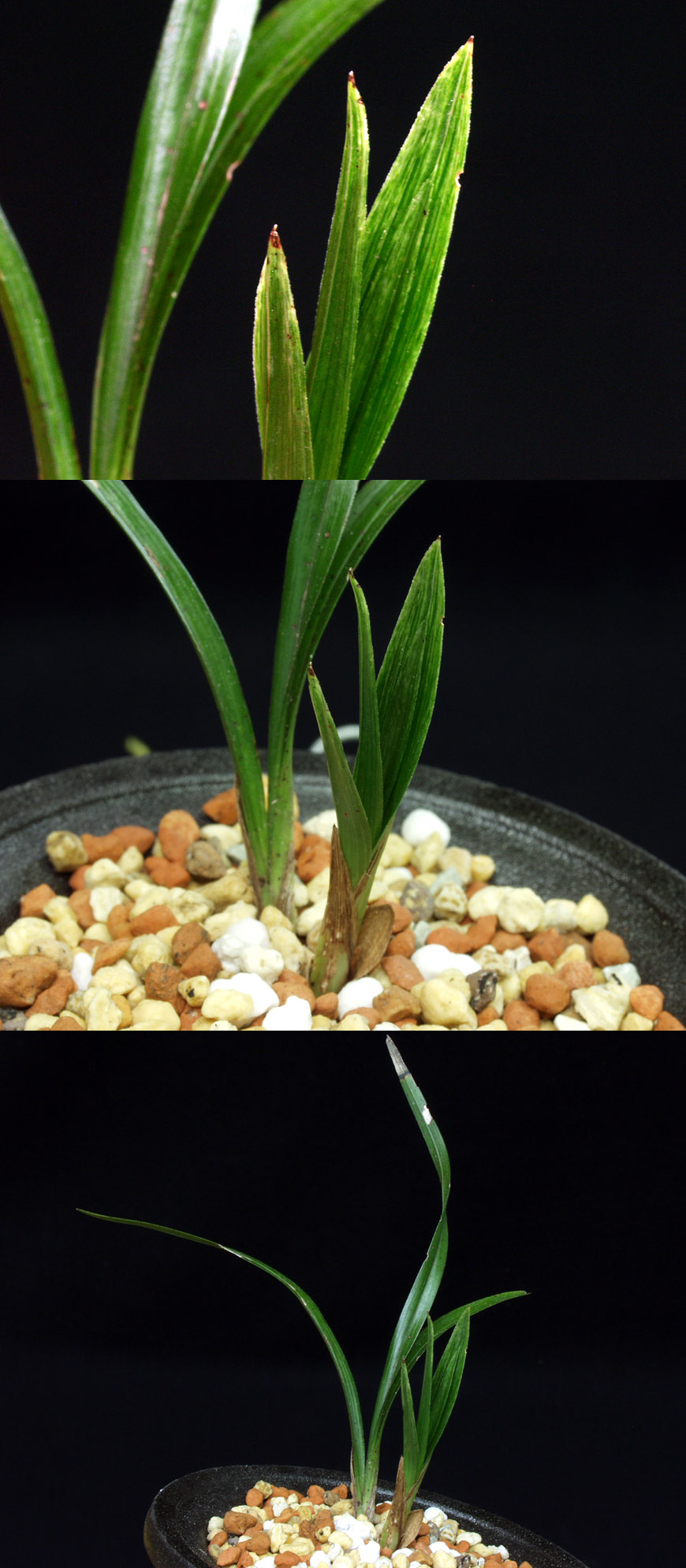 ������ ū������ �� �� �ֽ��ϴ�.