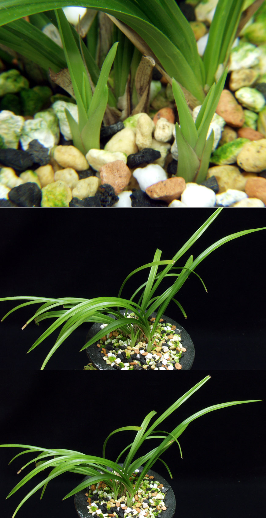 ������ ū������ �� �� �ֽ��ϴ�.