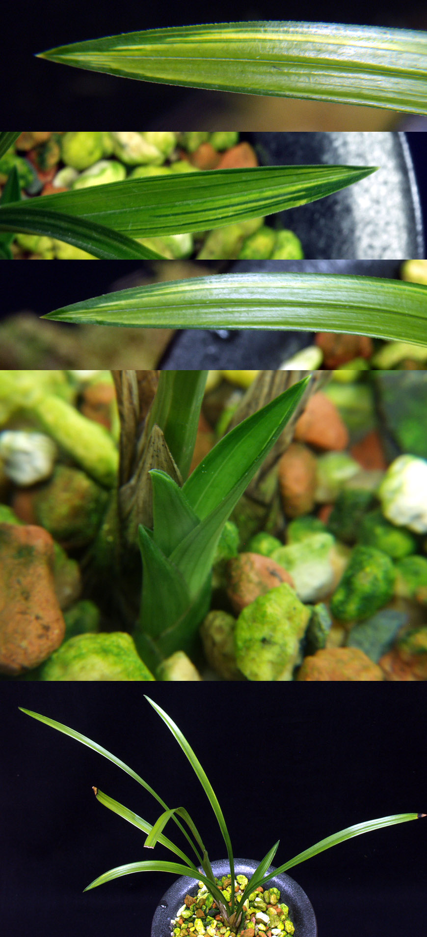 ������ ū������ �� �� �ֽ��ϴ�.