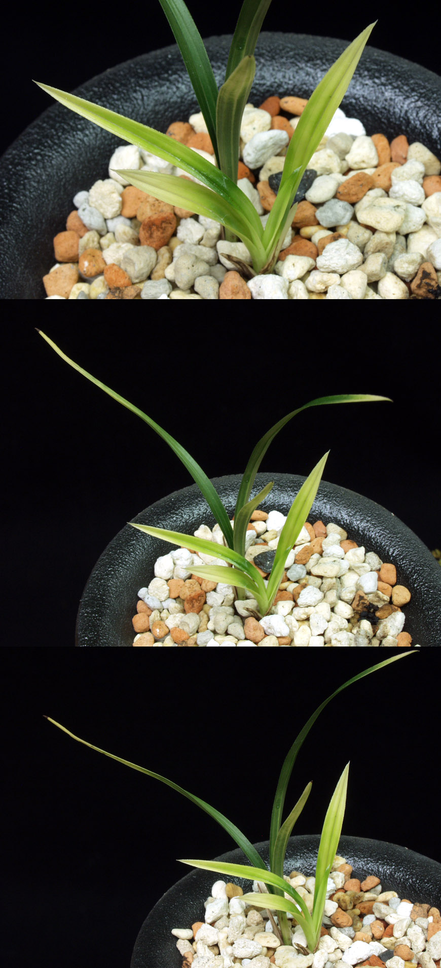 ������ ū������ �� �� �ֽ��ϴ�.