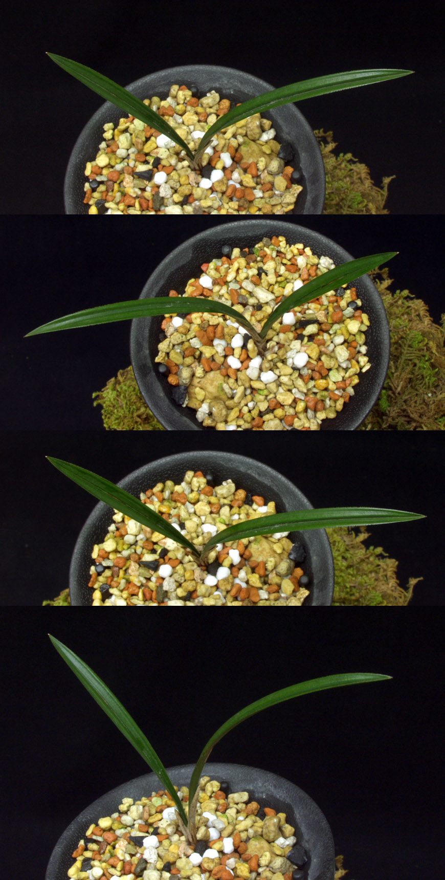 ������ ū������ �� �� �ֽ��ϴ�.