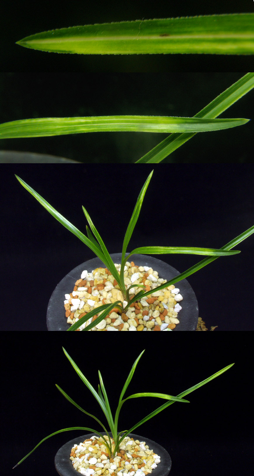 ������ ū������ �� �� �ֽ��ϴ�.