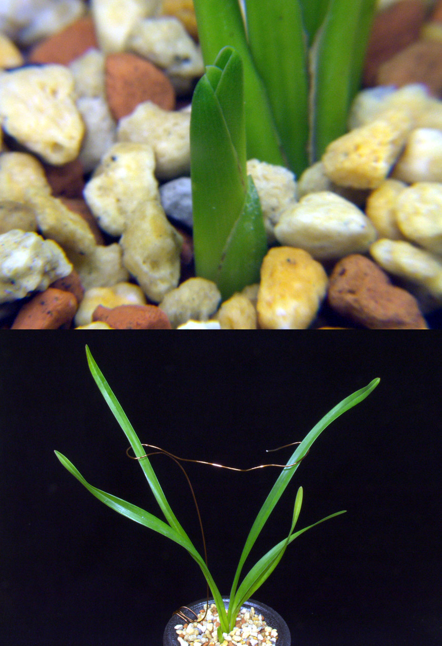 ������ ū������ �� �� �ֽ��ϴ�.