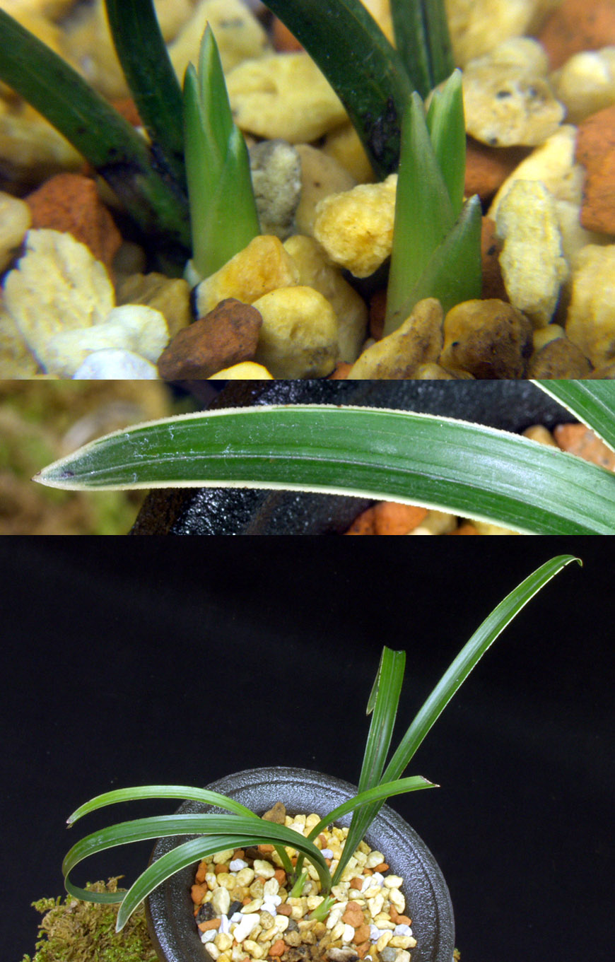 ������ ū������ �� �� �ֽ��ϴ�.