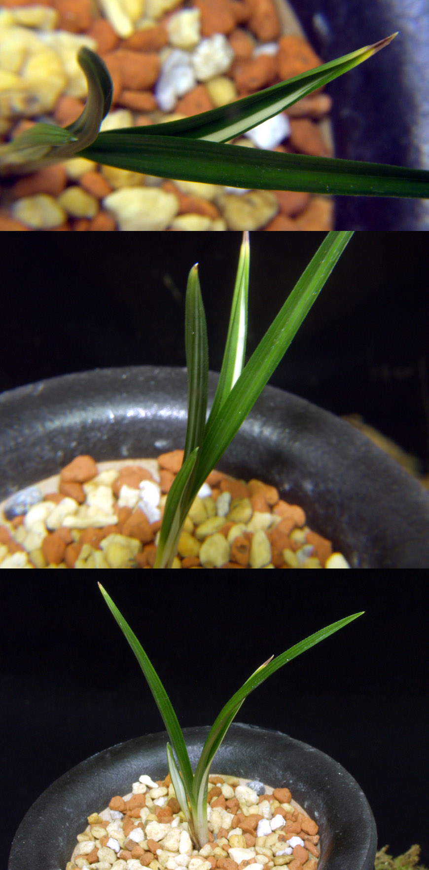 ������ ū������ �� �� �ֽ��ϴ�.