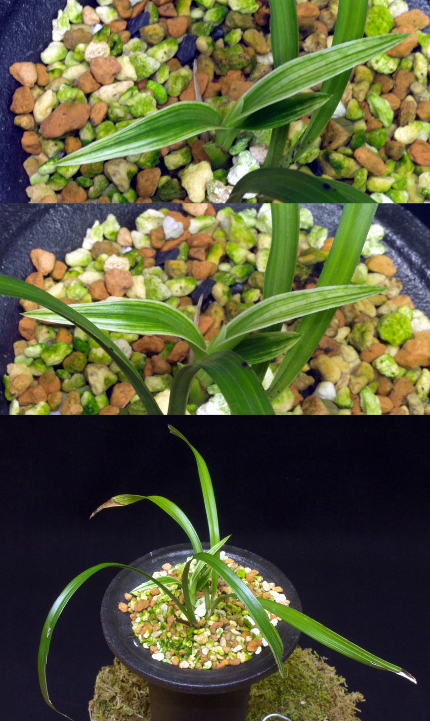 ������ ū������ �� �� �ֽ��ϴ�.