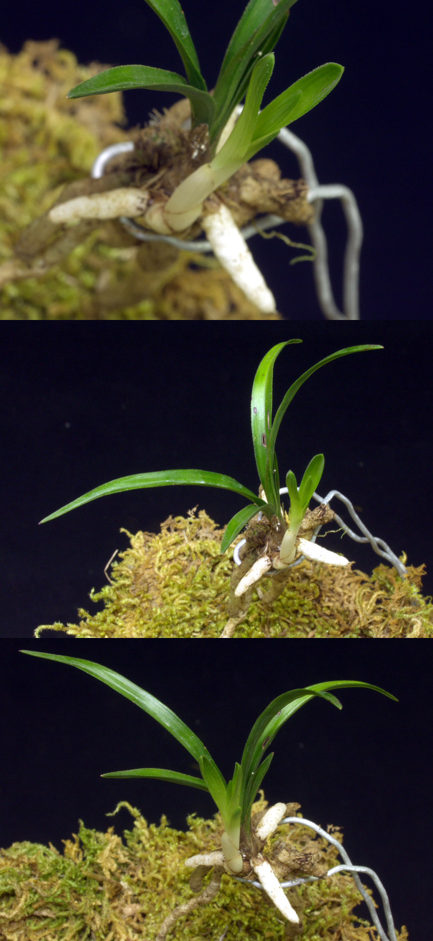 ������ ū������ �� �� �ֽ��ϴ�.