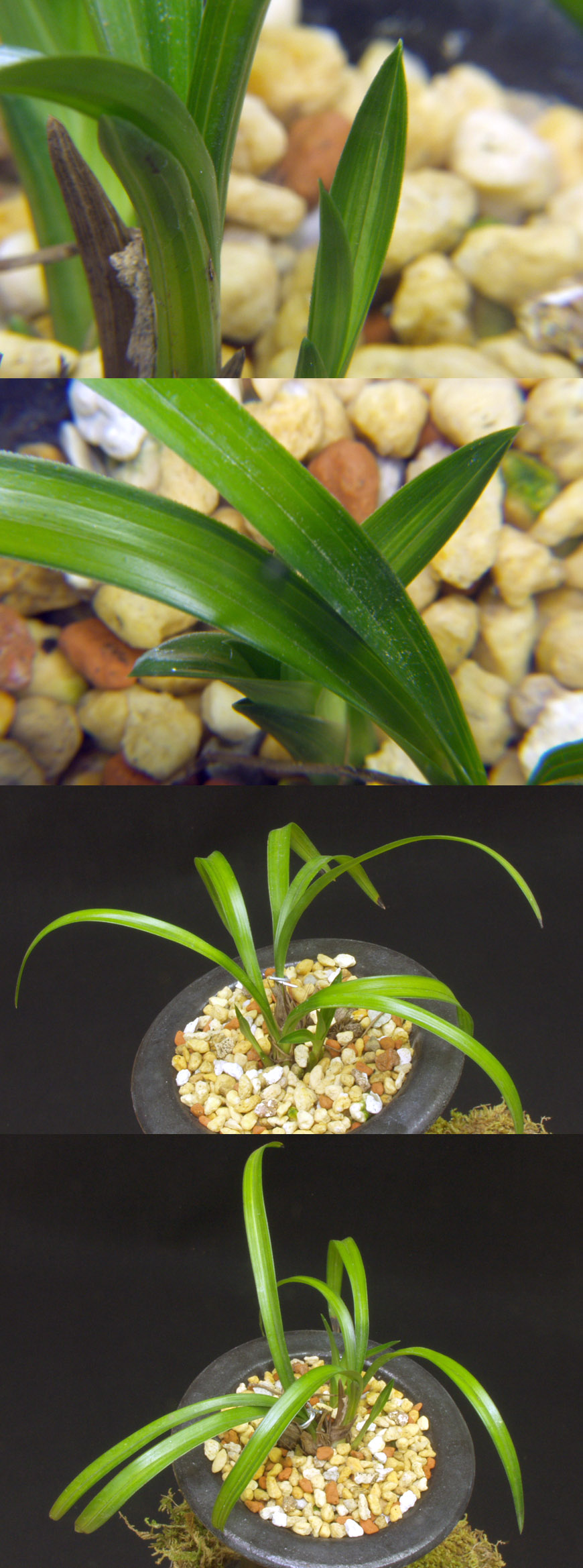 ������ ū������ �� �� �ֽ��ϴ�.