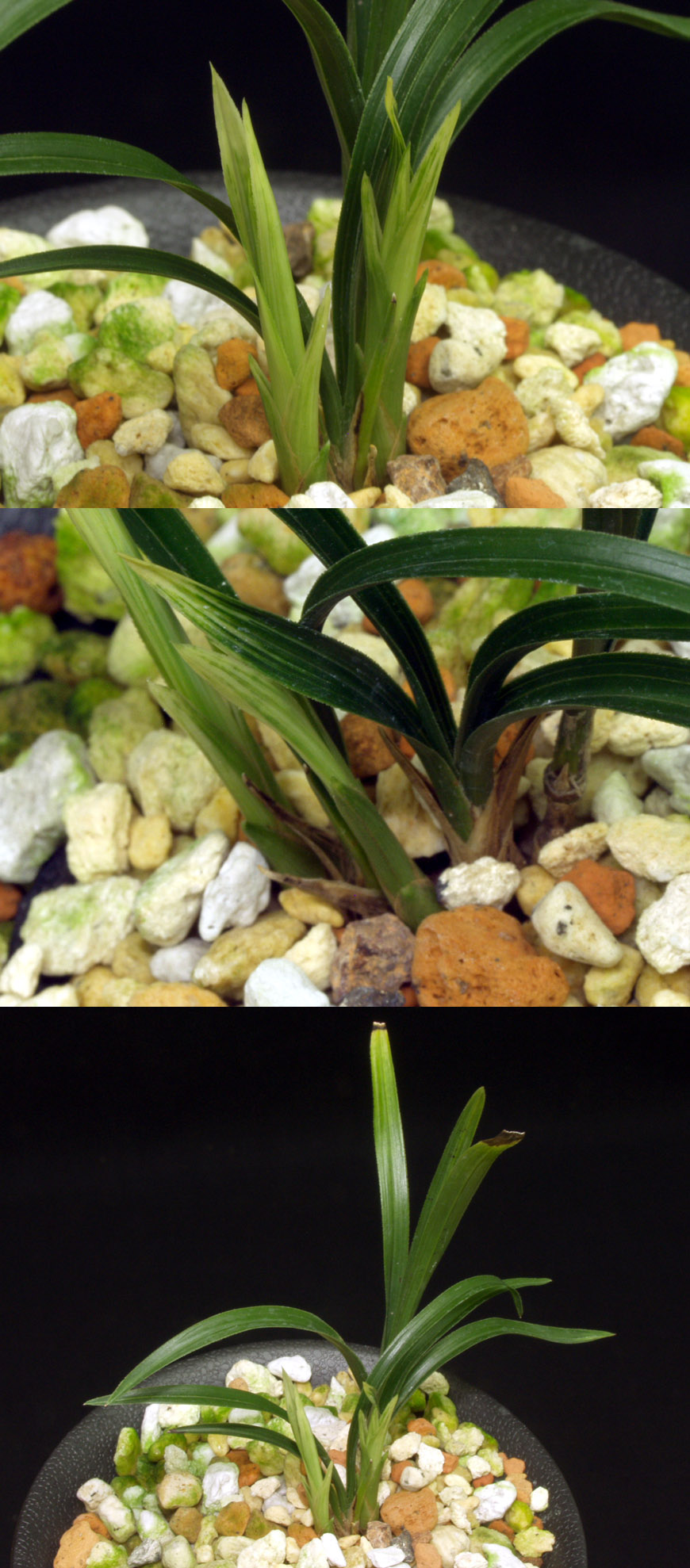 ������ ū������ �� �� �ֽ��ϴ�.