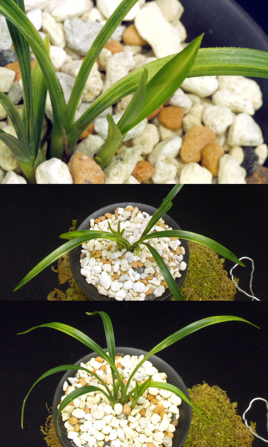 ������ ū������ �� �� �ֽ��ϴ�.