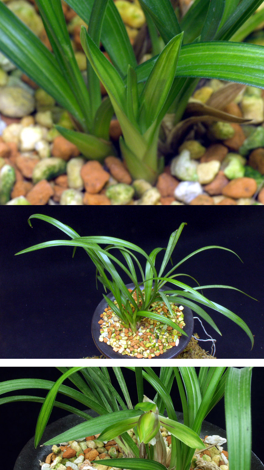 ������ ū������ �� �� �ֽ��ϴ�.