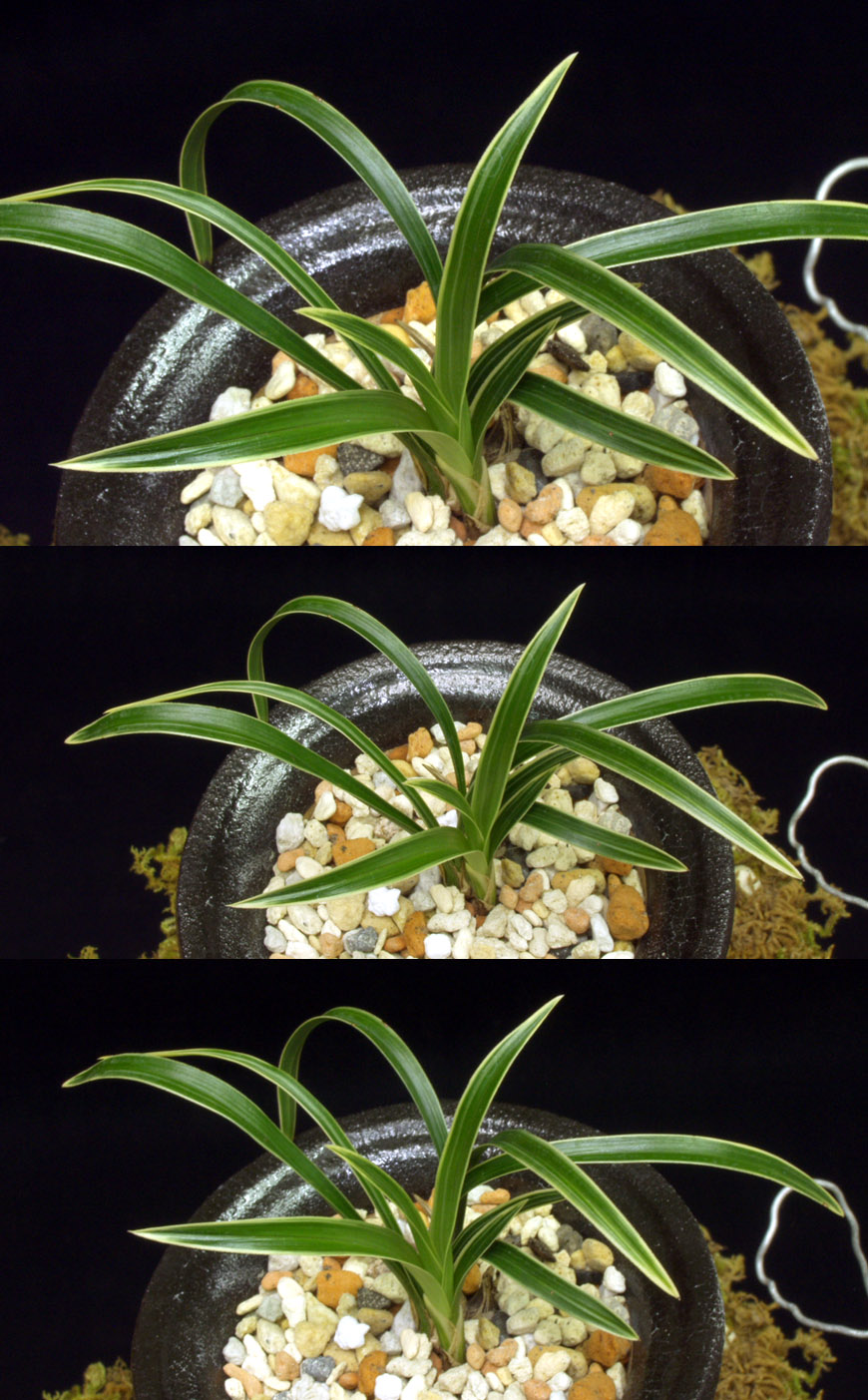 ������ ū������ �� �� �ֽ��ϴ�.