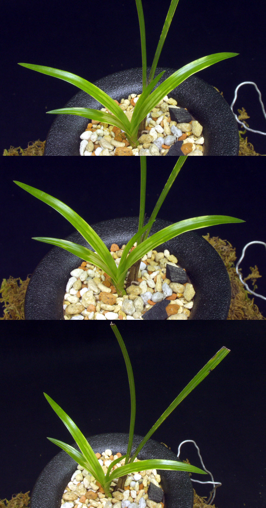 ������ ū������ �� �� �ֽ��ϴ�.