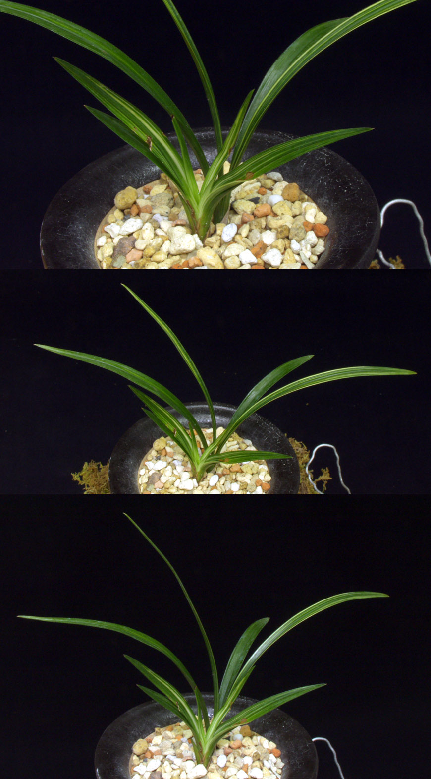 ������ ū������ �� �� �ֽ��ϴ�.