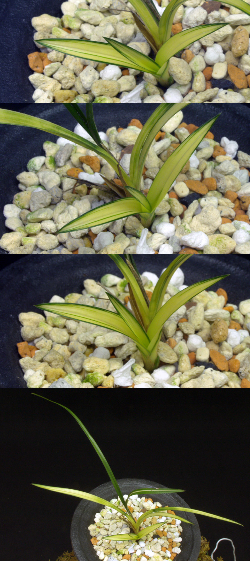 ������ ū������ �� �� �ֽ��ϴ�.