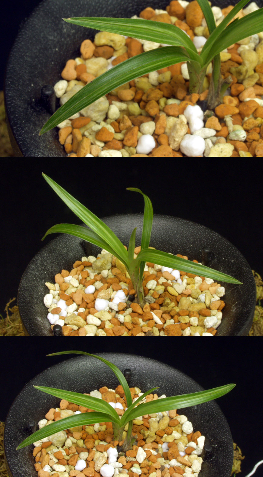 ������ ū������ �� �� �ֽ��ϴ�.