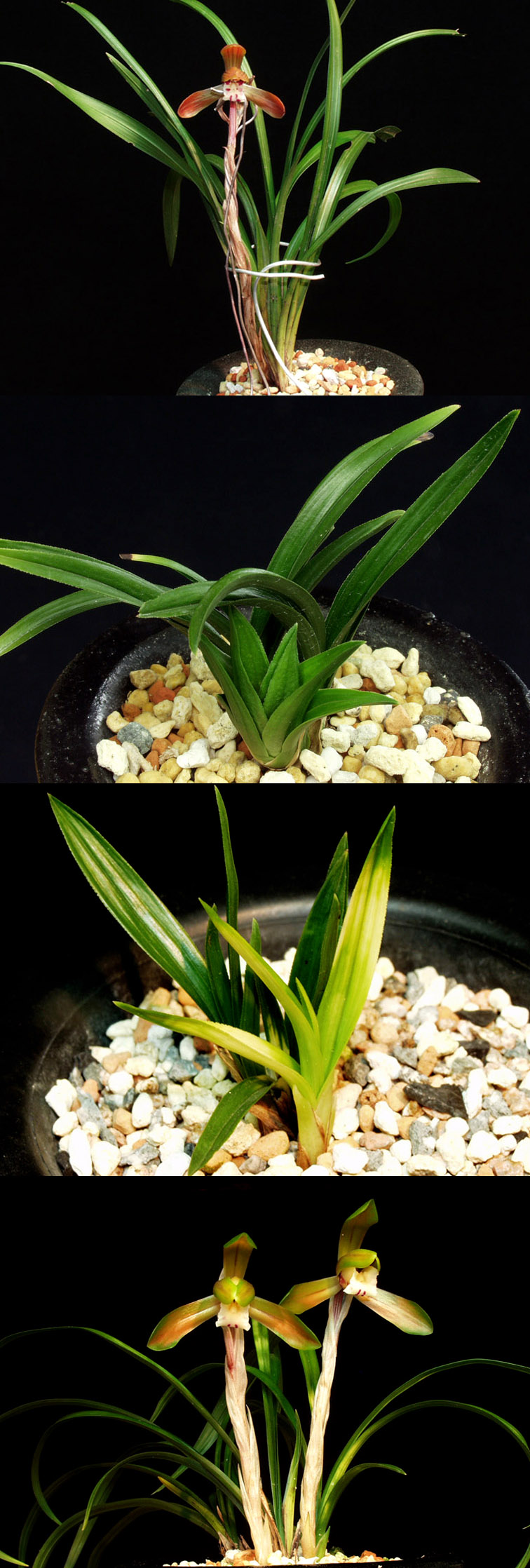 ������ ū������ �� �� �ֽ��ϴ�.