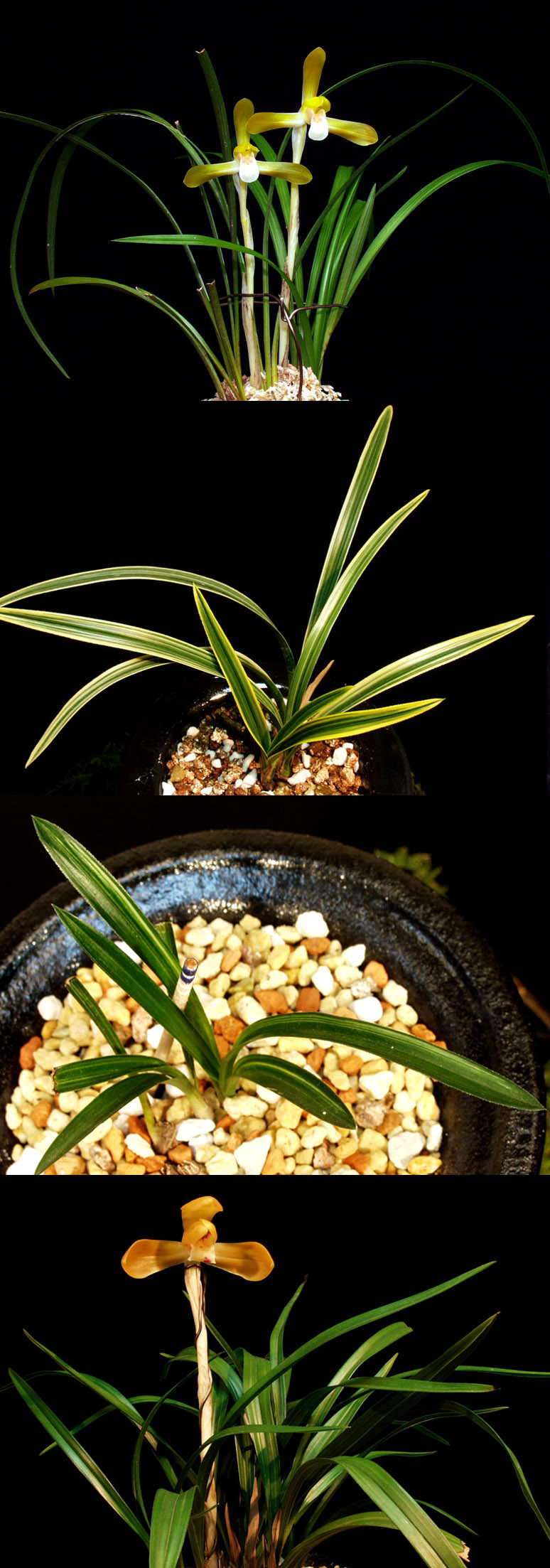 ������ ū������ �� �� �ֽ��ϴ�.