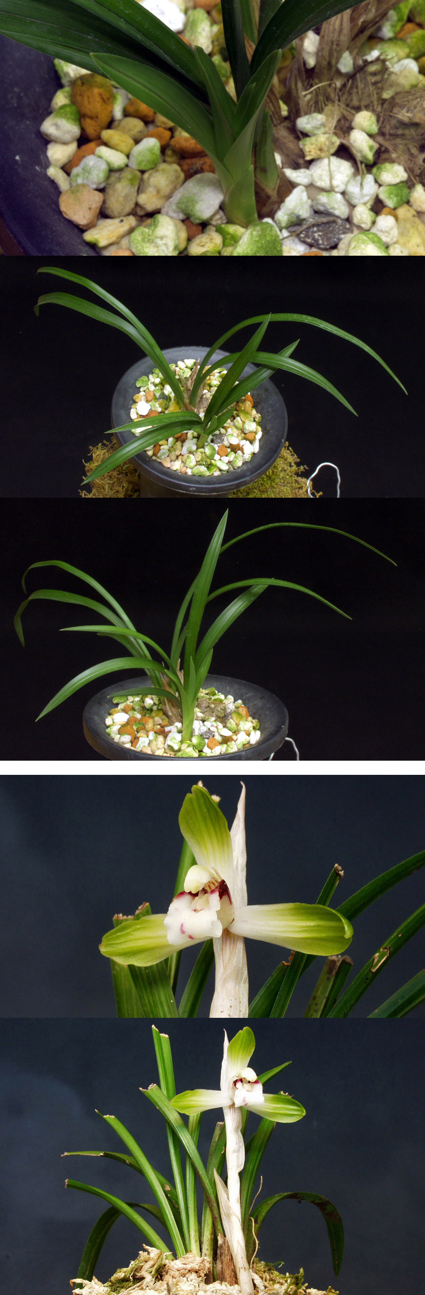 ������ ū������ �� �� �ֽ��ϴ�.