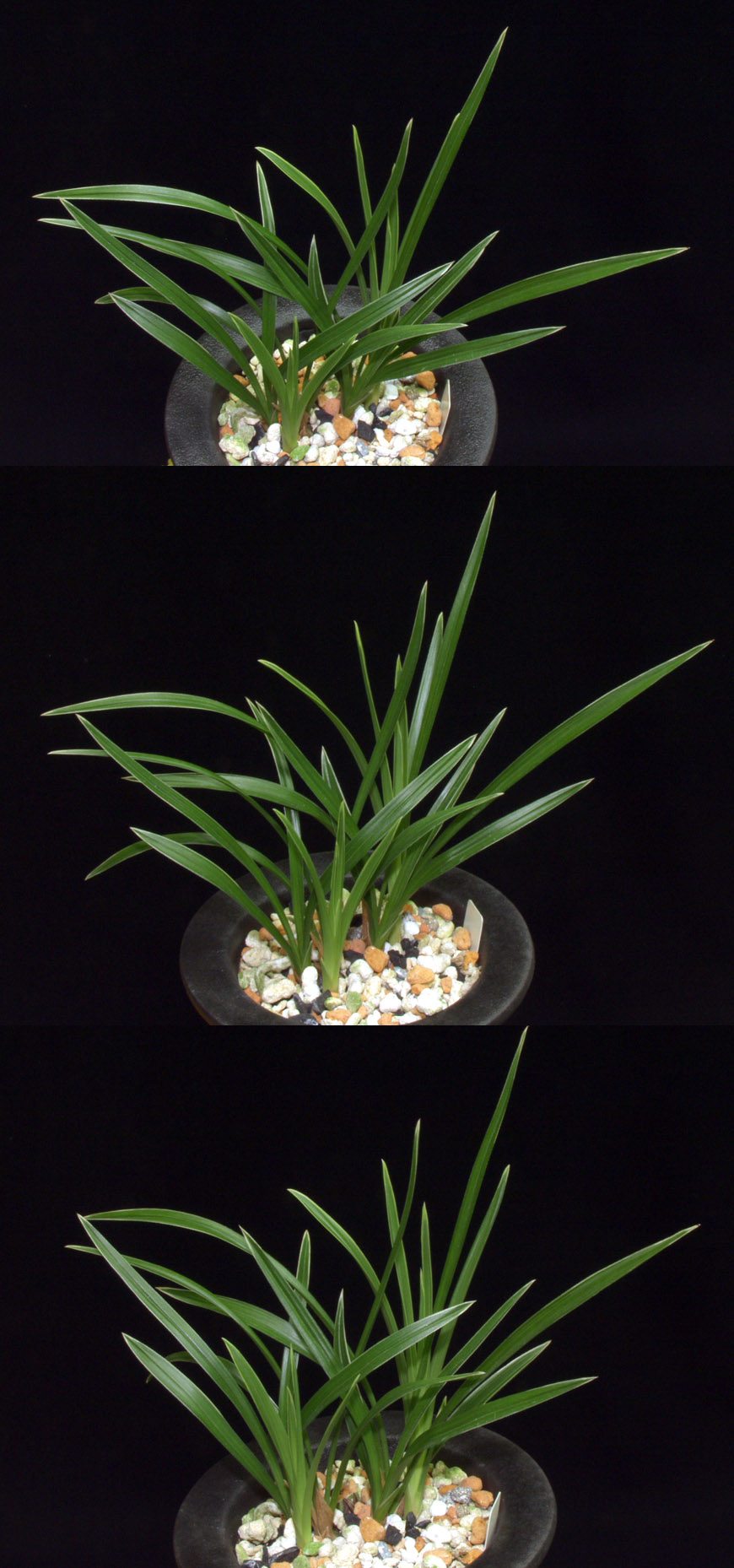 ������ ū������ �� �� �ֽ��ϴ�.