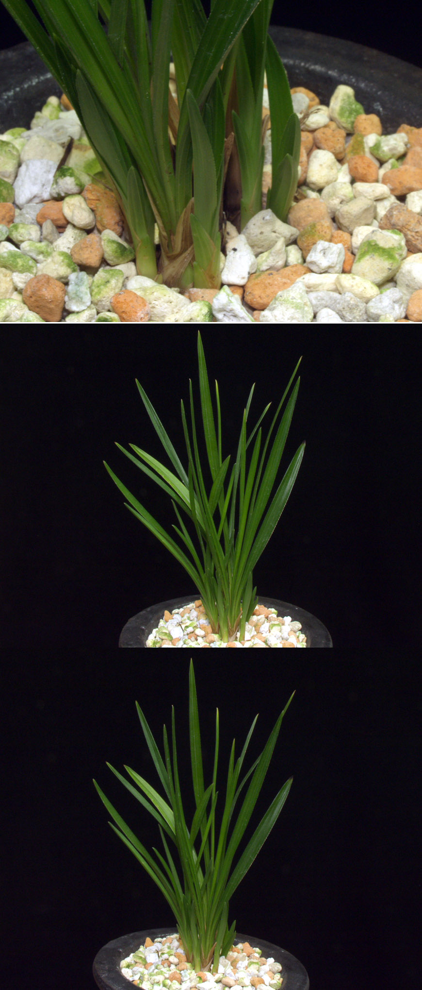 ������ ū������ �� �� �ֽ��ϴ�.