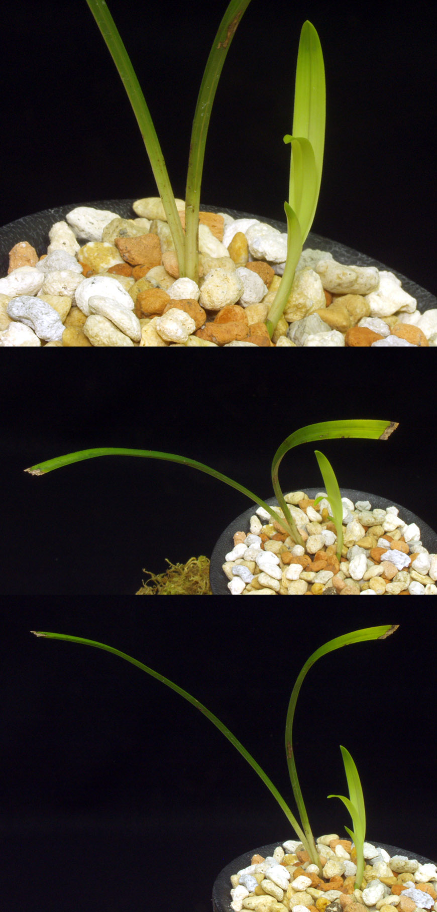 ������ ū������ �� �� �ֽ��ϴ�.