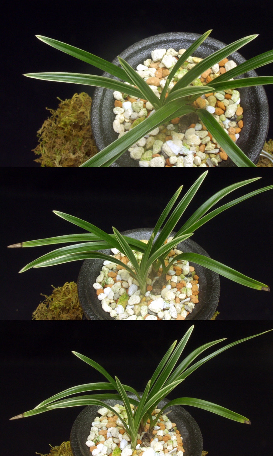 ������ ū������ �� �� �ֽ��ϴ�.