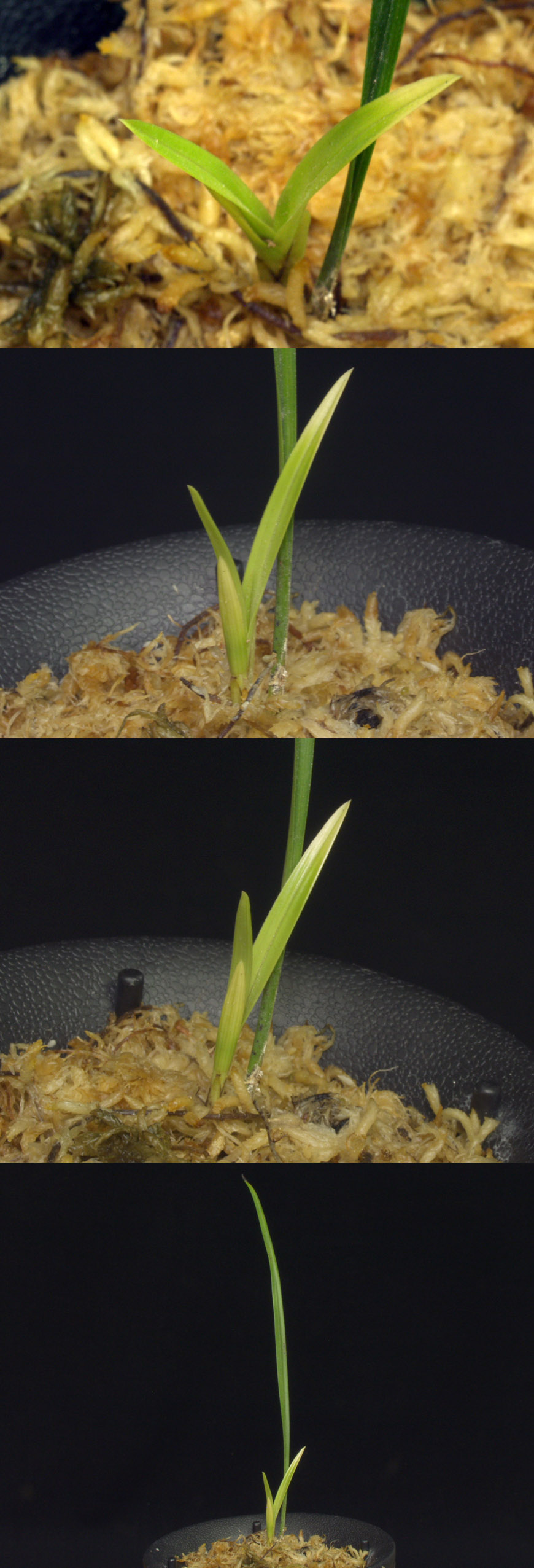 ������ ū������ �� �� �ֽ��ϴ�.