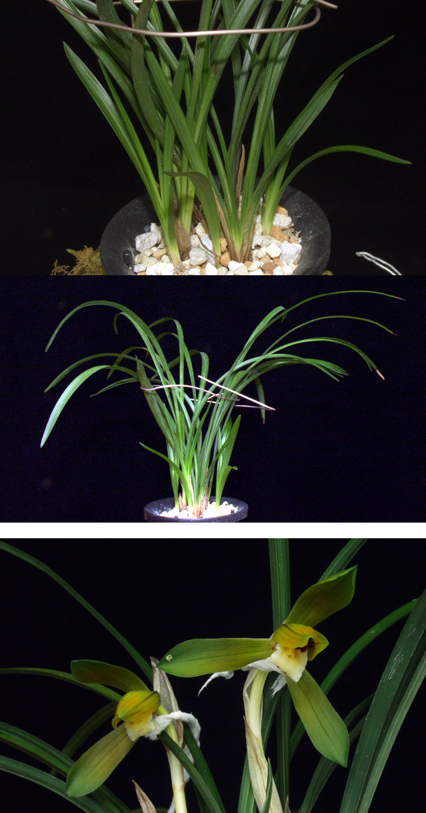 ������ ū������ �� �� �ֽ��ϴ�.