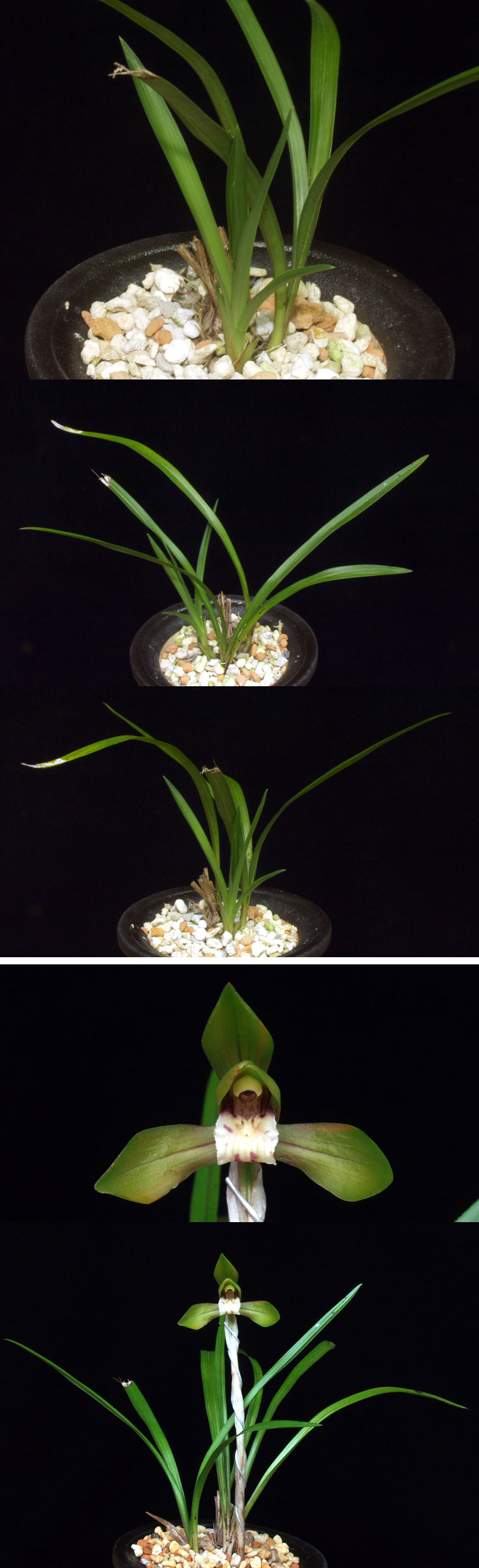 ������ ū������ �� �� �ֽ��ϴ�.