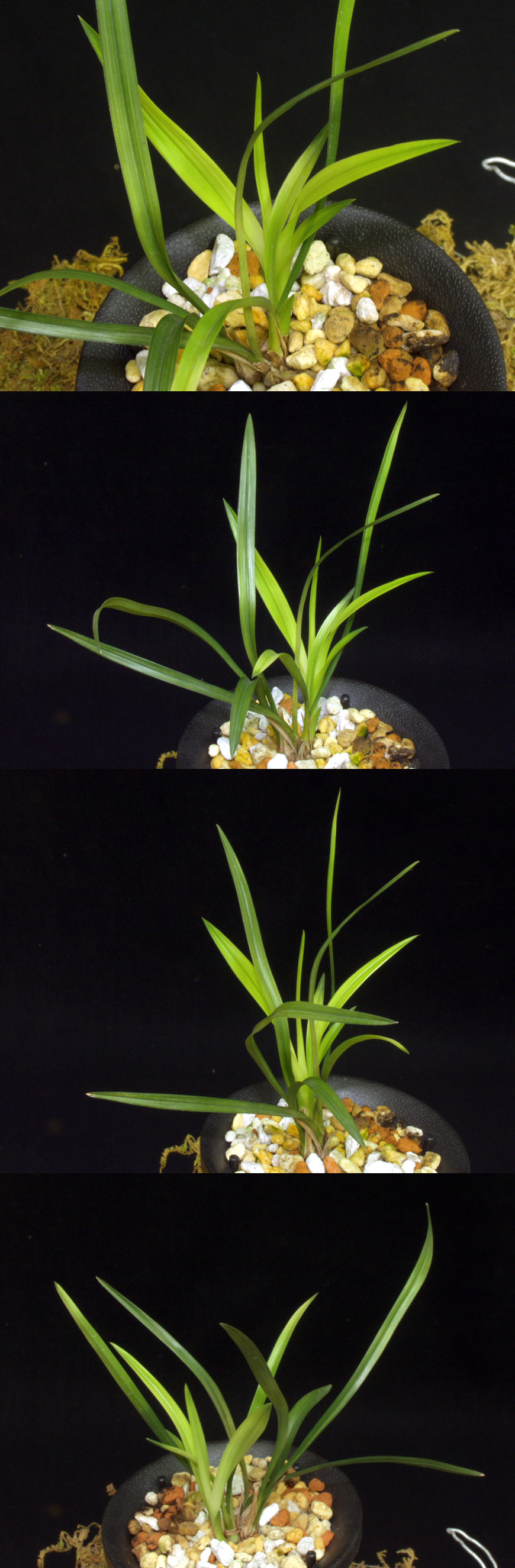 ������ ū������ �� �� �ֽ��ϴ�.