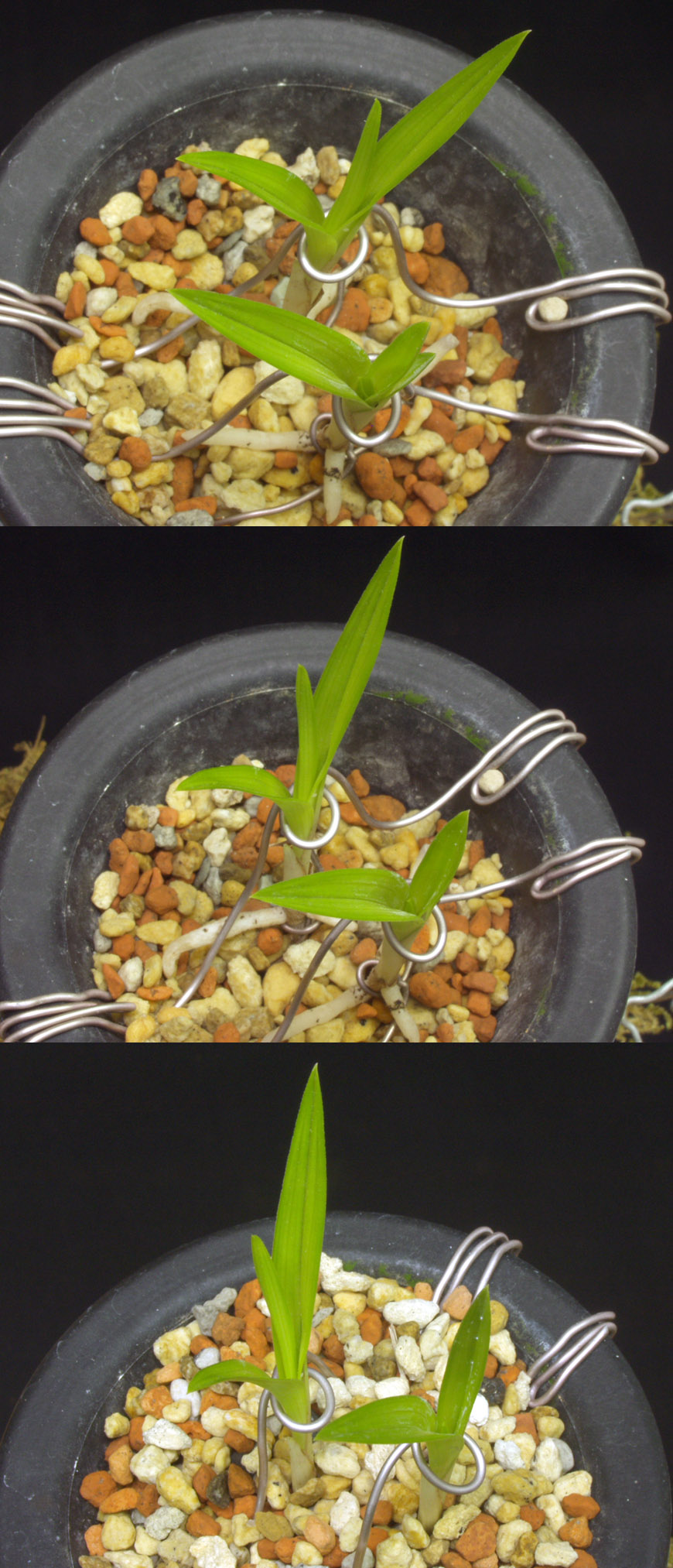 ������ ū������ �� �� �ֽ��ϴ�.