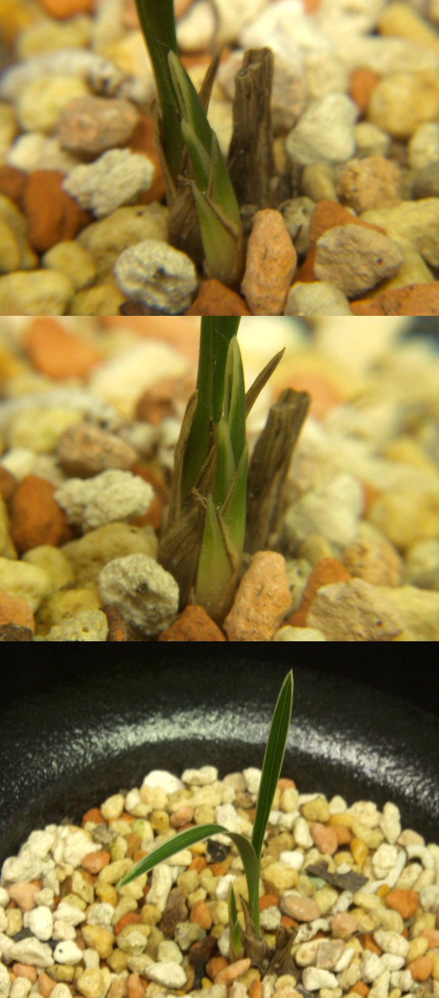 ������ ū������ �� �� �ֽ��ϴ�.