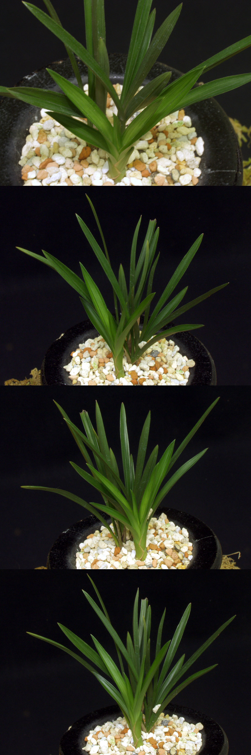 ������ ū������ �� �� �ֽ��ϴ�.