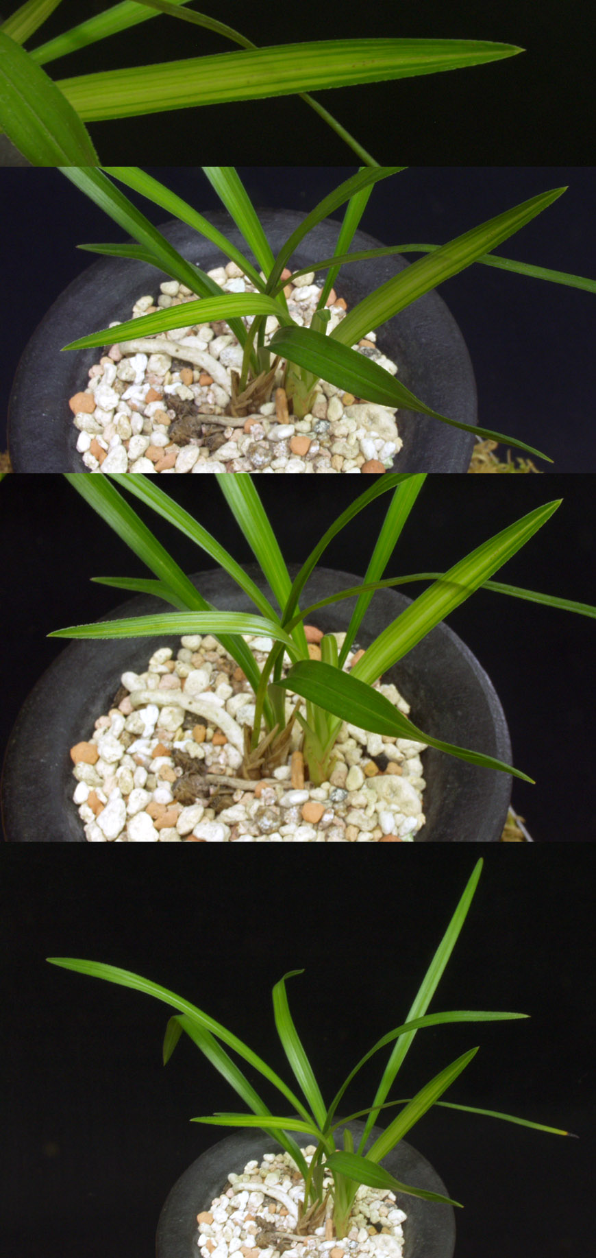 ������ ū������ �� �� �ֽ��ϴ�.