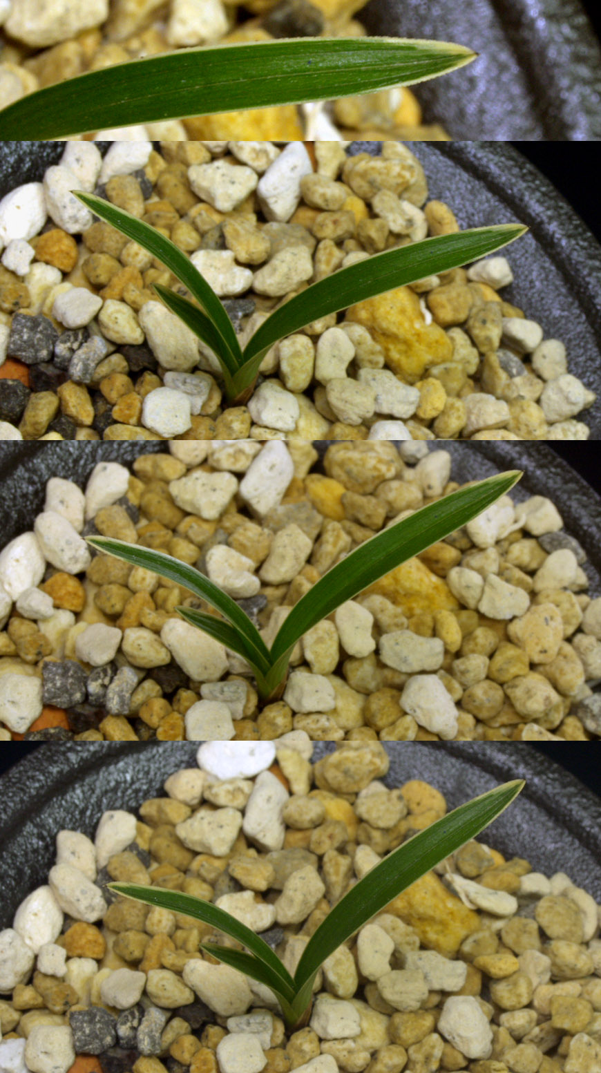 ������ ū������ �� �� �ֽ��ϴ�.