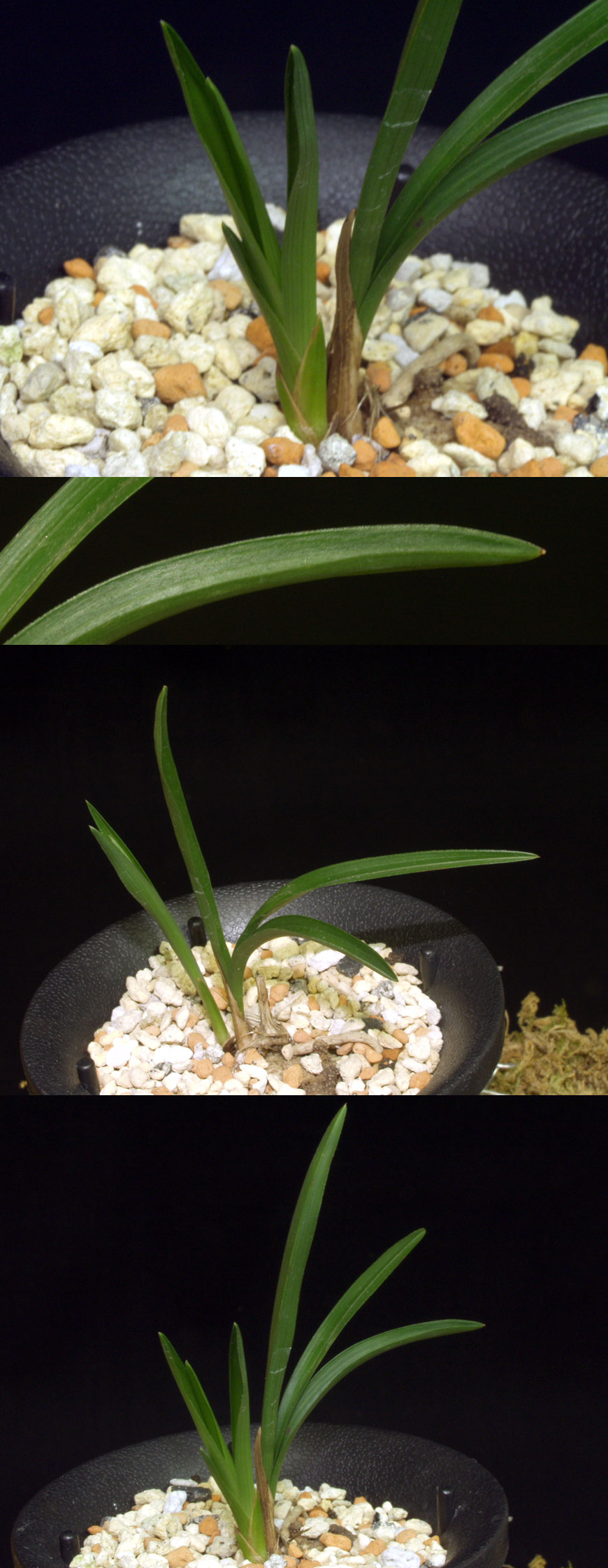 ������ ū������ �� �� �ֽ��ϴ�.