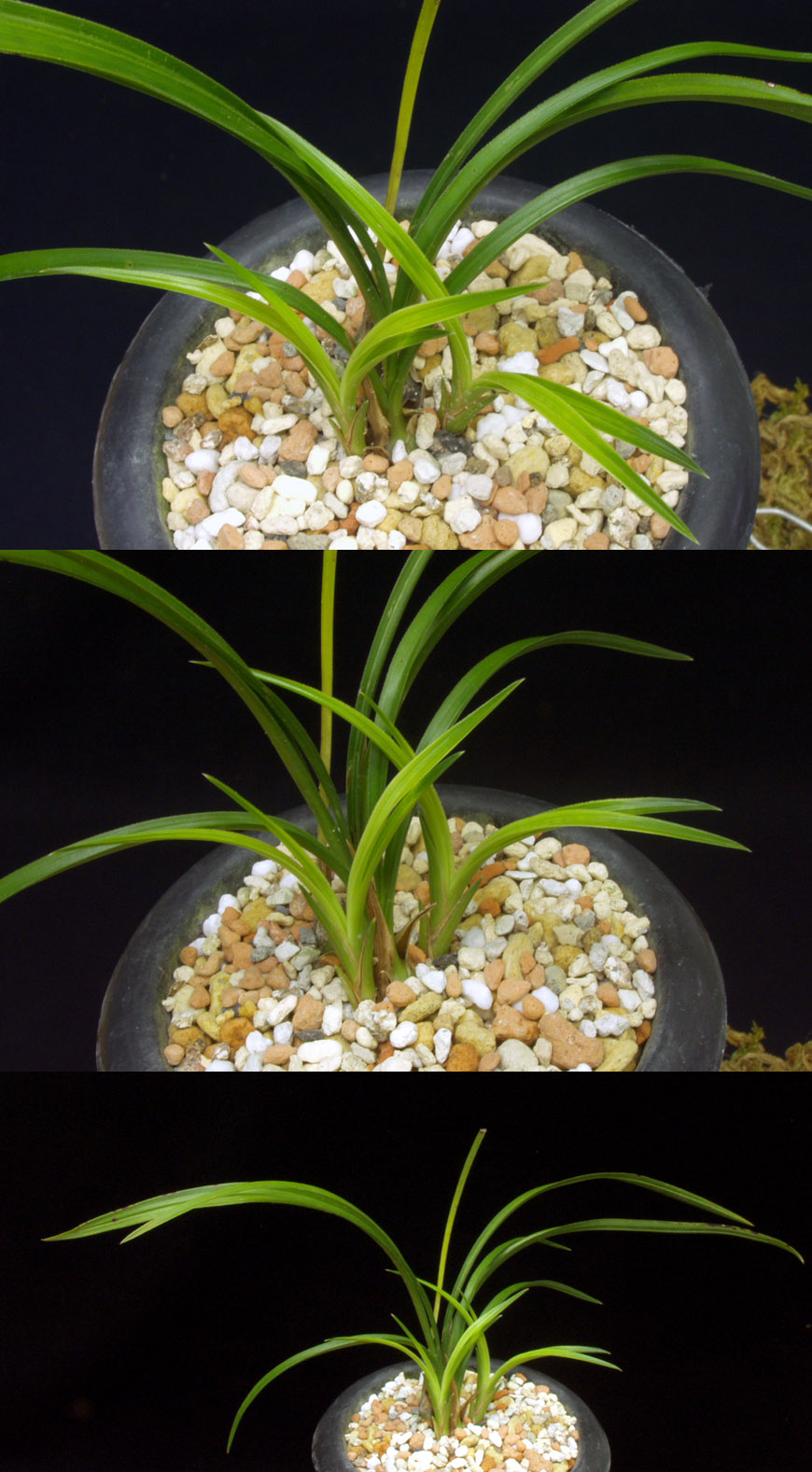 ������ ū������ �� �� �ֽ��ϴ�.