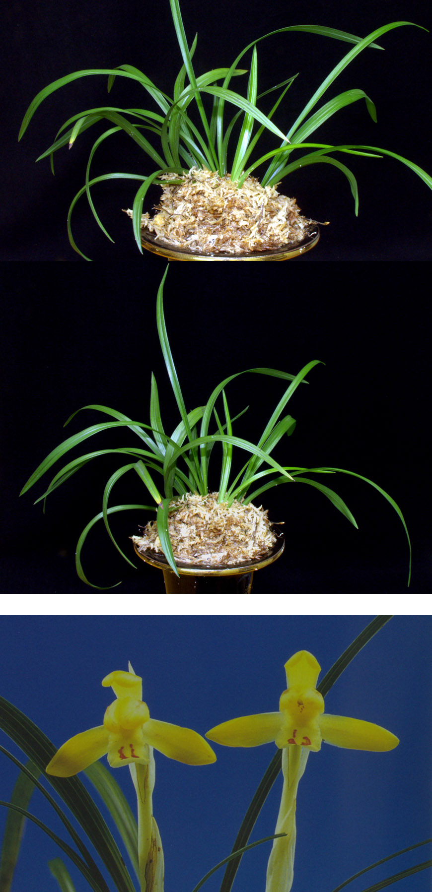 ������ ū������ �� �� �ֽ��ϴ�.