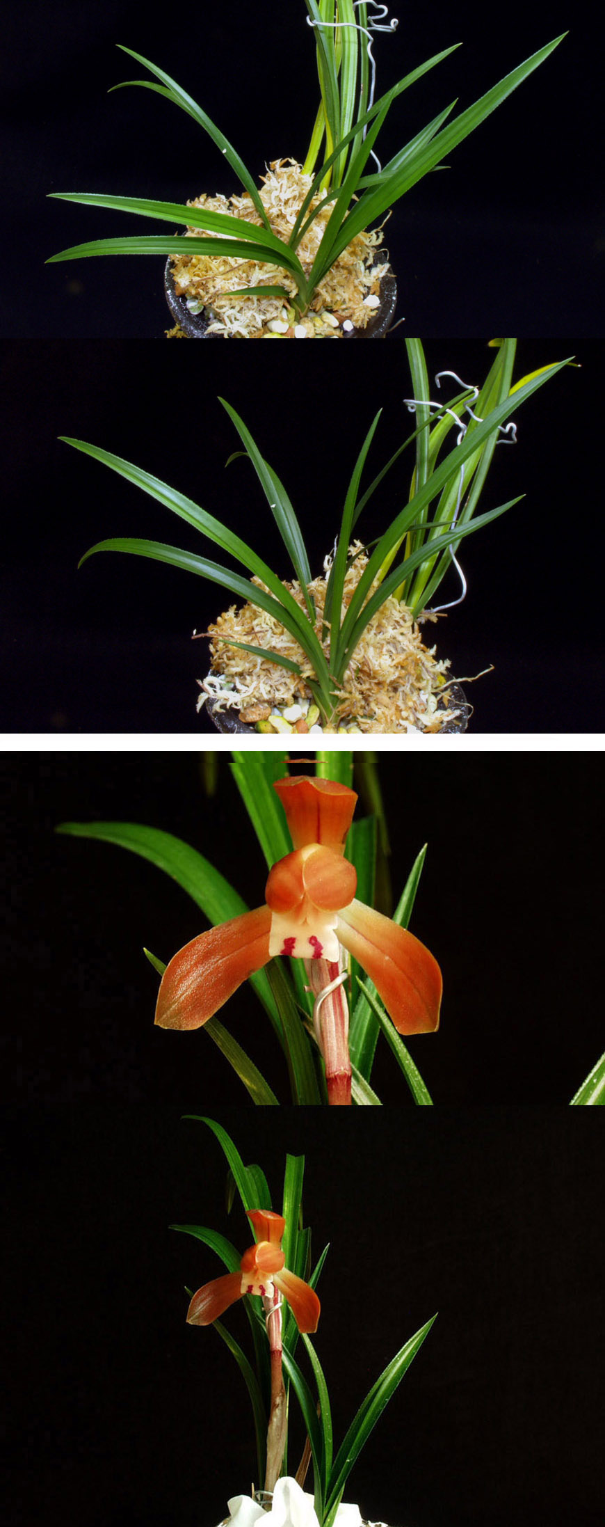 ������ ū������ �� �� �ֽ��ϴ�.