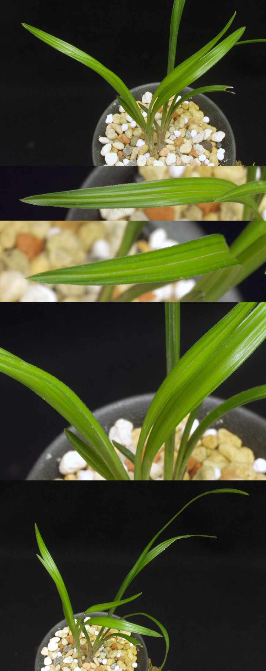 ������ ū������ �� �� �ֽ��ϴ�.