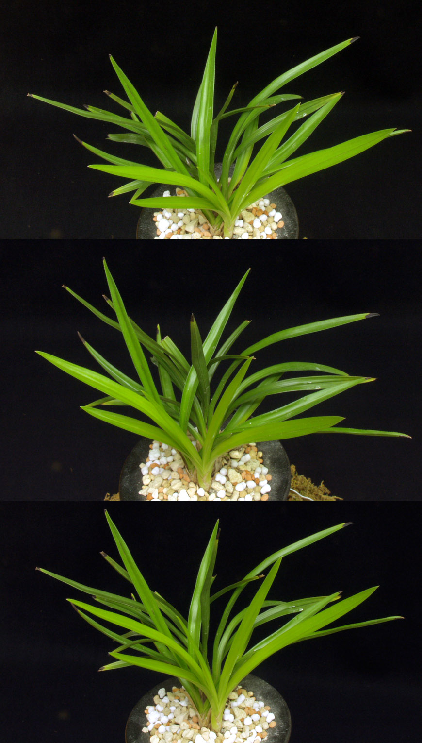 ������ ū������ �� �� �ֽ��ϴ�.