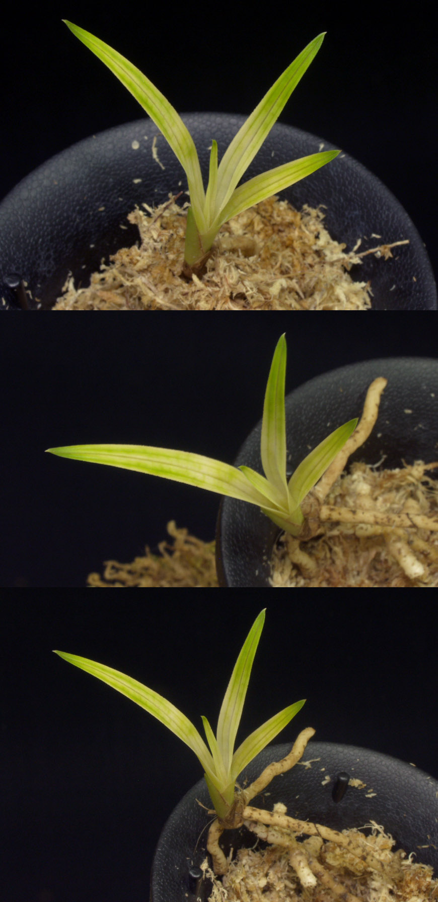 ������ ū������ �� �� �ֽ��ϴ�.