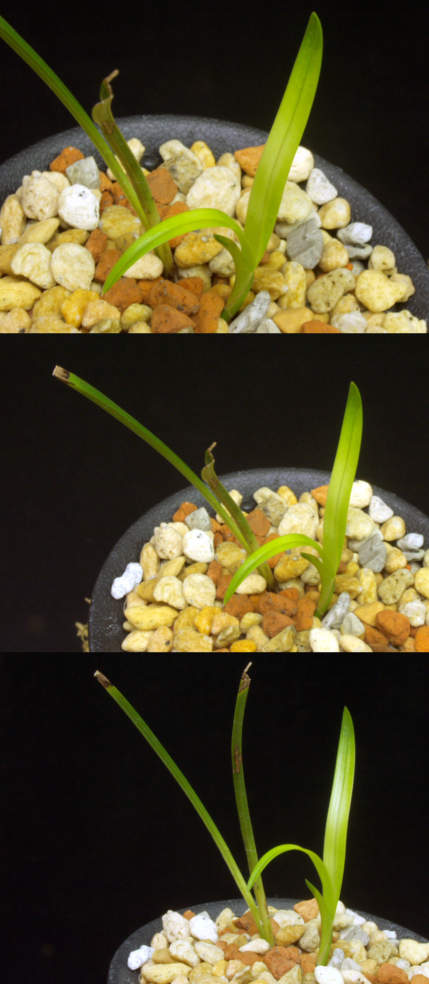 ������ ū������ �� �� �ֽ��ϴ�.