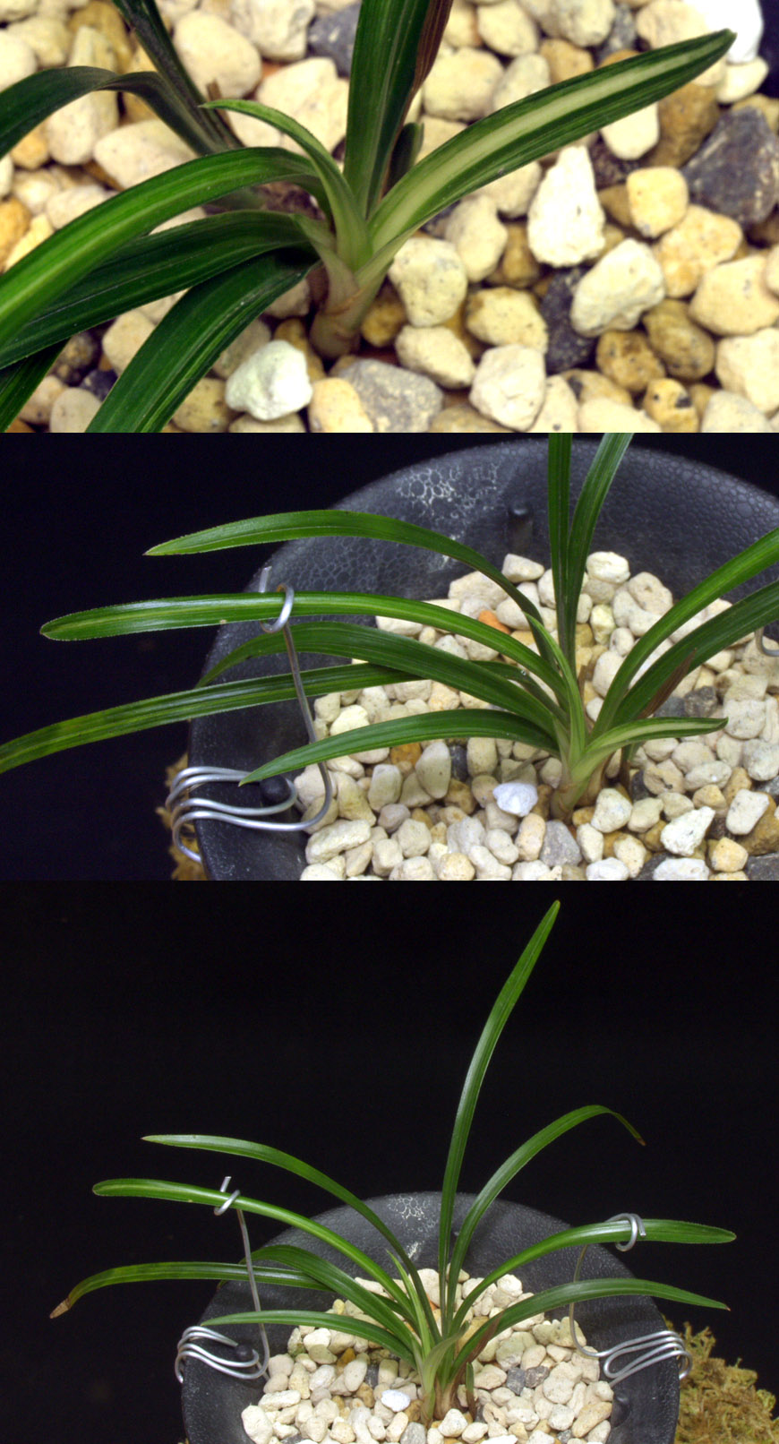 ������ ū������ �� �� �ֽ��ϴ�.